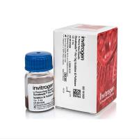 赛默飞Invitrogen10103D Dynabeads His-Tag Isolation and Pulldown/Dynabeads His-Tag分离和下拉