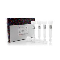 Thermo Scientific20356Pierce Protein A Columns, 1 mL 蛋白质A色谱柱,1 mL