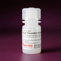 Thermo Scientific20365 Pierce Recombinant Protein A Agarose 重组蛋白A琼脂糖