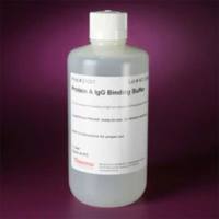 Thermo Scientific21001Pierce Protein A IgG Binding Buffer/Pierce蛋白A IgG结合缓冲液