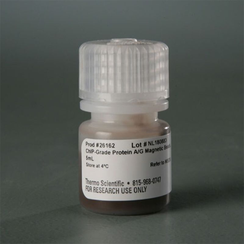 Thermo Scientific26162Pierce ChIP-grade Protein A/G Magnetic Beads/ChIP级蛋白A/G磁珠