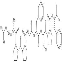 1-8-Bradykinin CAS号:15958-92-6
