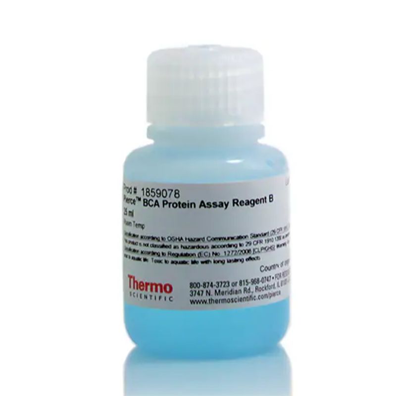Thermo Scientific23224Pierce BCA Protein Assay Reagent B BCA蛋白测定试剂B