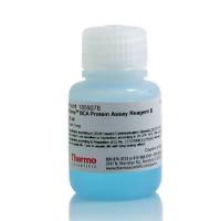 Thermo Scientific23224Pierce BCA Protein Assay Reagent B BCA蛋白测定试剂B