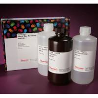 Thermo Scientific24582Pierce Zinc Reversible Stain Kit锌可逆染色试剂盒