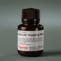 Thermo Scientific20401 SulfoLink™ Coupling Resin/SulfoLink™偶联树脂