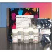 Thermo Scientific26158Pierce Chromatin Prep Module 染色质制备模块