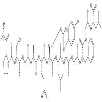 Allatostatin 7(Diploptera punctata)   CAS号：123209-95-0