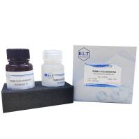 特超敏化学发光检测试剂盒ECL发光液