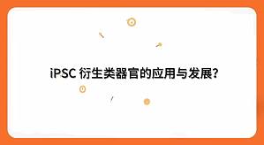 丁香实验推荐阅读