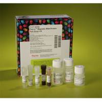 Thermo Scientific20164Pierce Magnetic RNA-Protein Pull-Down Kit RNA-蛋白质磁珠沉降试剂盒