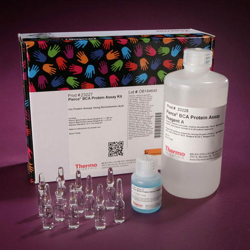 Thermo Scientific23227Pierce BCA蛋白定量检测试剂盒