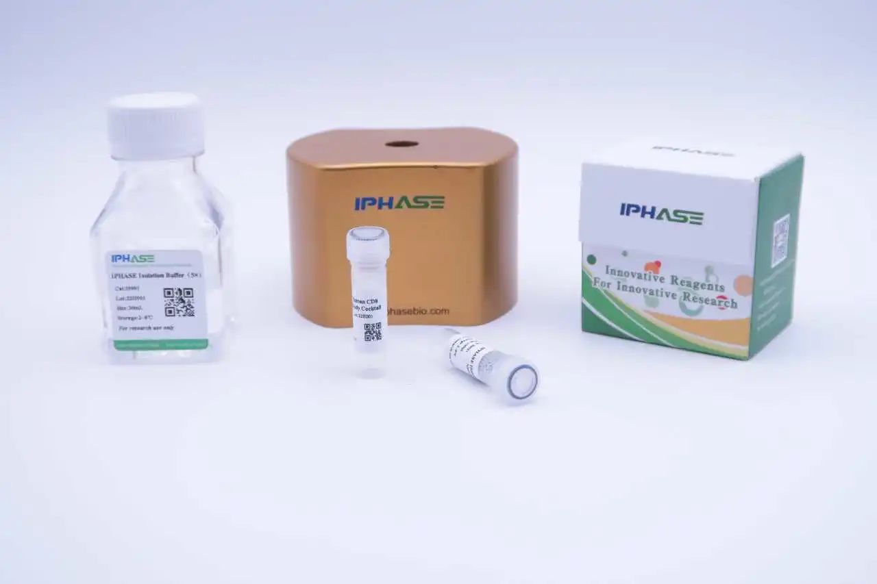 成都站 | IPHASE原代肝细胞专题研讨会即将启幕！