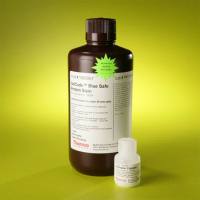 Thermo Scientific 24594 GelCode™ Blue Safe Protein Stain/GelCode™ 蓝色安全蛋白染色剂