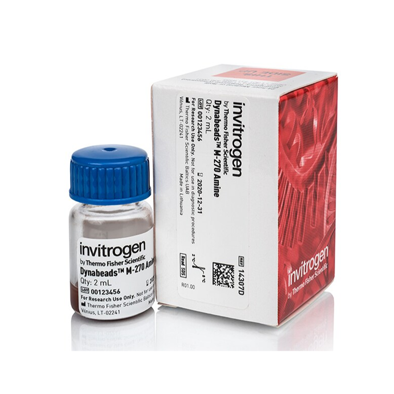 赛默飞Invitrogen14307DDynabeads M