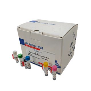犬腺体病毒1型(犬传染性肝炎病毒)PCR试剂盒