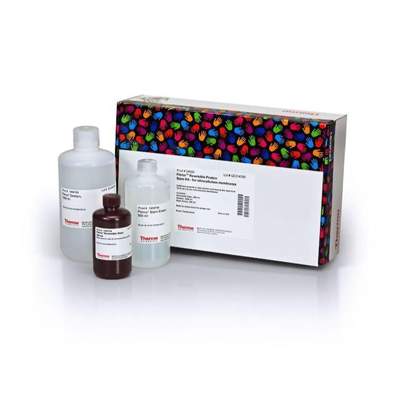 Thermo Scientific24580 Pierce Reversible Protein Stain Kit for Nitrocellulose Membranes 可逆蛋白染色试剂盒