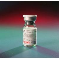Thermo Scientific21124 Streptavidin Protein, HRP 链霉亲和素蛋白,HRP