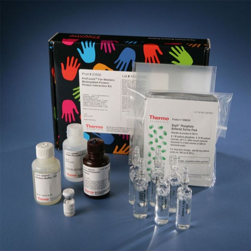 Thermo Scientific23500Pierce Far-Western Blot Kit for Biotinylated Proteins 生物素化蛋白印迹试剂盒