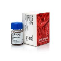 赛默飞Invitrogen11149D Dynabeads™ CD14  