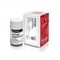 赛默飞Invitrogen14301Dynabeads M-270 Epoxy/Dynabeads M-270环氧树脂