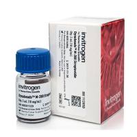 赛默飞Invitrogen 11205D Dynabeads™M-280 Streptavidin/Dynabeads™M-280链霉亲和素