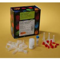 Thermo Scientific84539DyLight 755 Microscale Antibody Labeling Kit/DyLight 755微型抗体标记试剂盒
