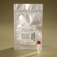 Thermo Scientific46403DyLight 488 NHS Ester