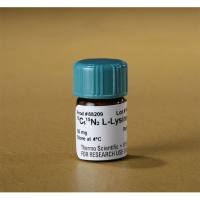 Thermo Scientific88209用于SILAC的L-赖氨酸-2HCl、13C6、15N2