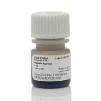 Thermo Scientific78605Pierce Ni-NTA Magnetic Agarose Beads Ni-NTA琼脂糖磁珠