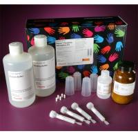 Thermo Scientific44916 Pierce Thiophilic Adsorption Kit 亲脂吸附试剂盒