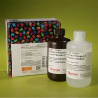 Thermo Scientific32106Pierce ECL Western Blotting Substrate ECL蛋白质印迹底物