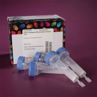 Thermo Scientific87779Pierce Detergent Removal Spin Column, 4mL/洗涤剂去除离心柱,4mL