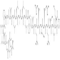 SN 50  CAS号：213546-53-3