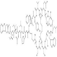 Endothelin 2 (human)   CAS号：123562-20-9