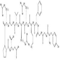 Bovine adrenal medulla dodecapeptide CAS号:75513-71-2