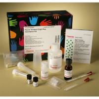 Thermo Scientific44990Pierce Protein G IgG Plus Orientation Kit, 2 mL 蛋白G lgG加方向套件，2 mL