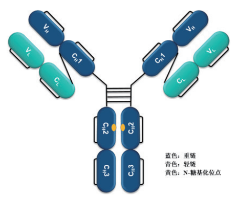 图片预览