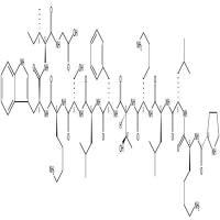 CAS号：147958-06-3