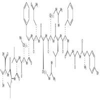 Dynorphin B(pig)  CAS号：83335-41-5