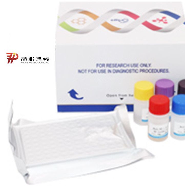人早老素2(PS-2)酶联免疫试剂盒 