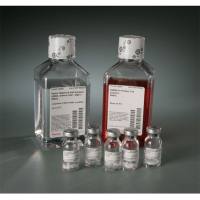 Thermo Scientific88279 Pierce Mouse Embryonic Fibroblast Isolation Kit 小鼠胚胎成纤维细胞分离试剂盒