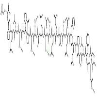 Ghrelin (human) CAS号:258279-04-8