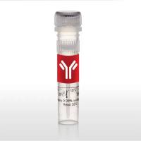 Thermo Scientific32400Pierce Recombinant Protein A, Peroxidase Conjugated 重组蛋白A，过氧化物酶结合