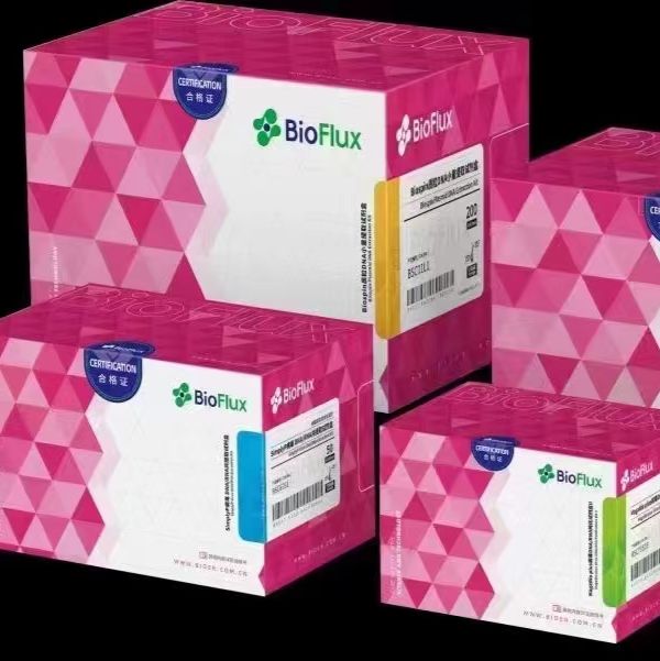 Biospin 胶回收试剂盒