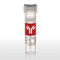 Thermo Scientific44985 Pierce Fab Preparation Kit /Feb制备试剂盒