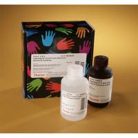 Thermo Scientific37074SuperSignal ELISA Femto Substrate/底物溶液