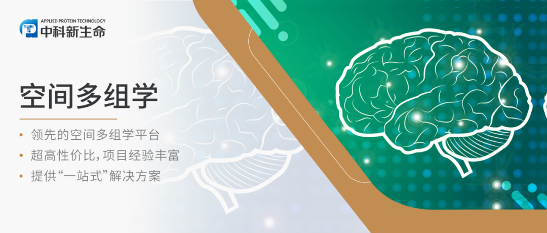 Nature Neuroscience（IF 25.0）| 空间多组学联合发现MS早期神经退行性变通路及治疗靶点
