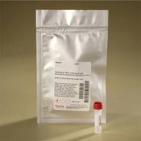 Thermo Scientific82493DyLight 510-LS NHS酯