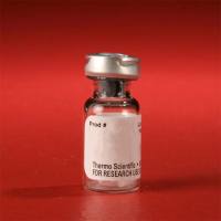 Thermo Scientific29339Pierce Alkaline Phosphatase, Biotinylated 生物素化的碱性磷酸酶